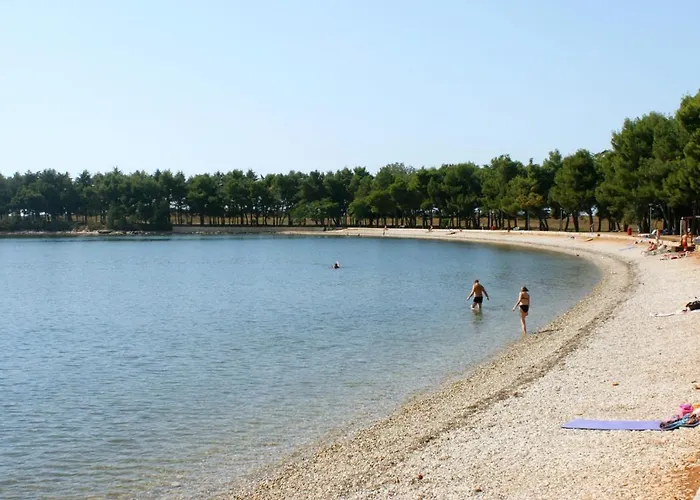 Apartman Novigrad 6979b Novigrad (Istria)